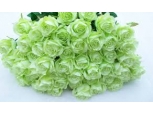 One of a Kind - 36 Stems In Bouquet
